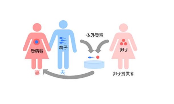 u=3714910491,1277782827&fm=27&gp=0.jpg