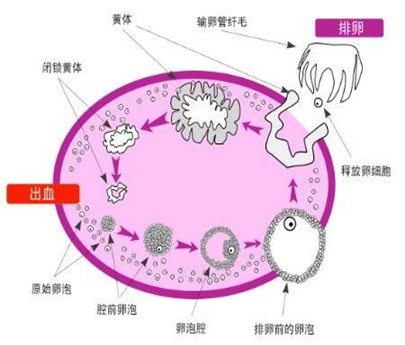 262_副本D.jpg