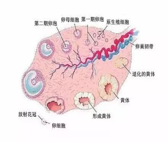 274_副本D.jpg