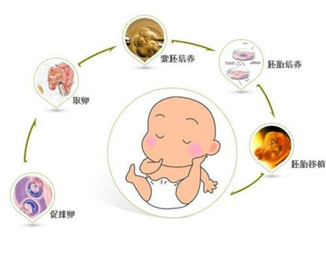 泰国试管婴儿促排药物是不是对人体零伤害?