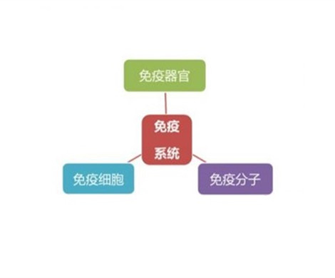对于试管婴儿来说母体免疫力有多重要?