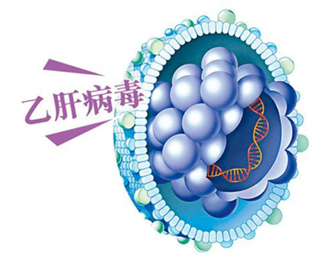 乙肝会影响做试管婴儿吗
