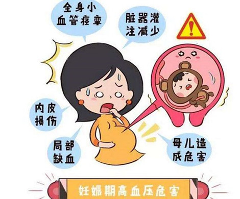 泰国试管婴儿的不孕患者血压偏高可千万要注意了！