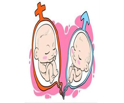 泰国试管婴儿治疗过程中使用的促排药物是固定的吗?