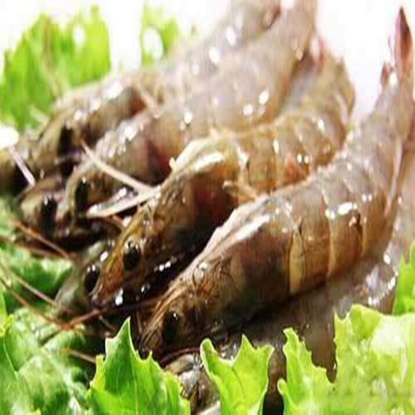 男性精液不液化导致不育可以做试管婴儿吗？