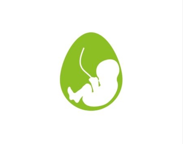 泰国试管婴儿:夏末秋初容易怀孕是真的吗